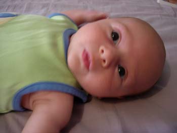 DSCN0337