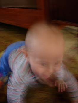 DSCN1732